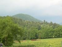 aft