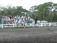 acm