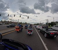 IMG_1169.jpeg